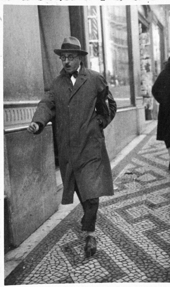 Parle à mon univers, ma tête est malade (notes sur Pessoa,&nbsp;2)